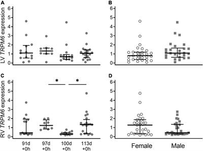 Expression of TRPM6 and TRPM7 in the preterm piglet heart